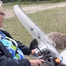 De fijne gemakken van een scootmobiel bezitten