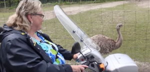 Voordelen en gemakken scootmobiel bezitten dan wel rijden