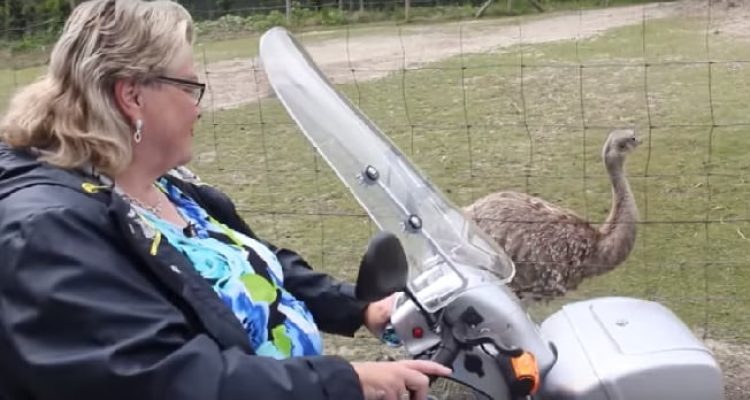 Voordelen en gemakken scootmobiel bezitten dan wel rijden